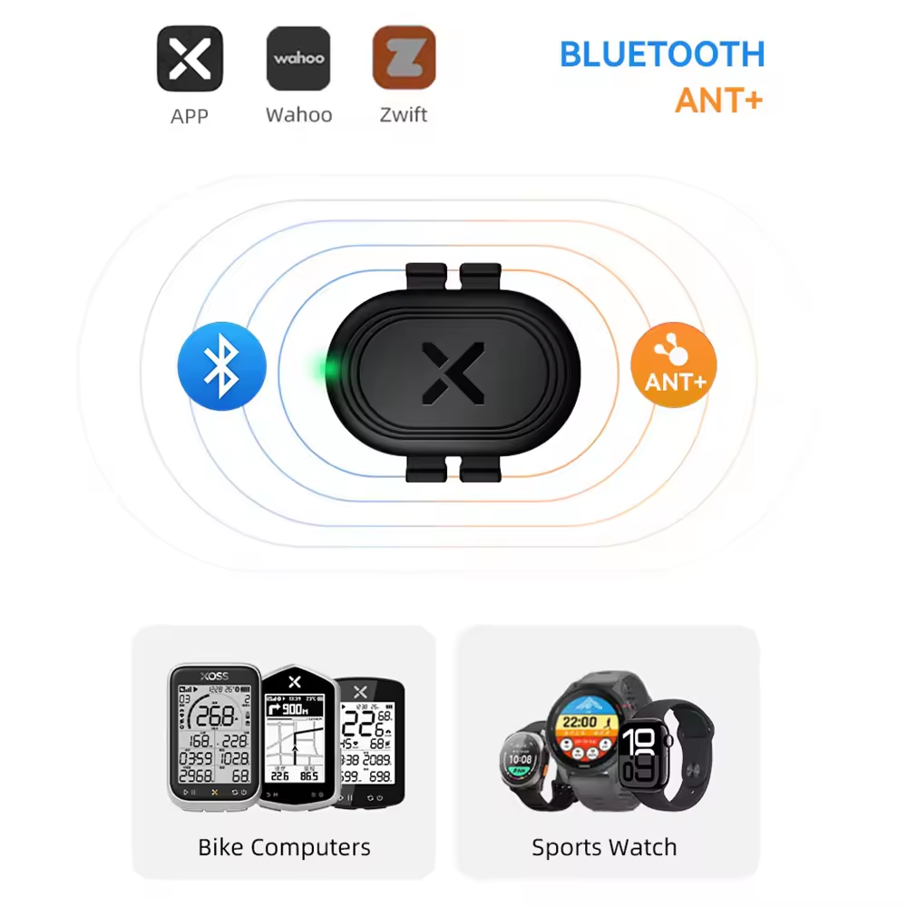 Sensori Doppi di Velocità e Ca - Cycling Speed Cadence Sensor Dual recensione e prezzo